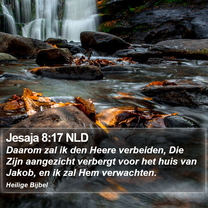 Jesaja 8:17 NLD Bible Study