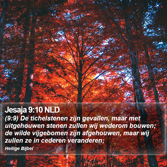 Jesaja 9:10 NLD Bible Study