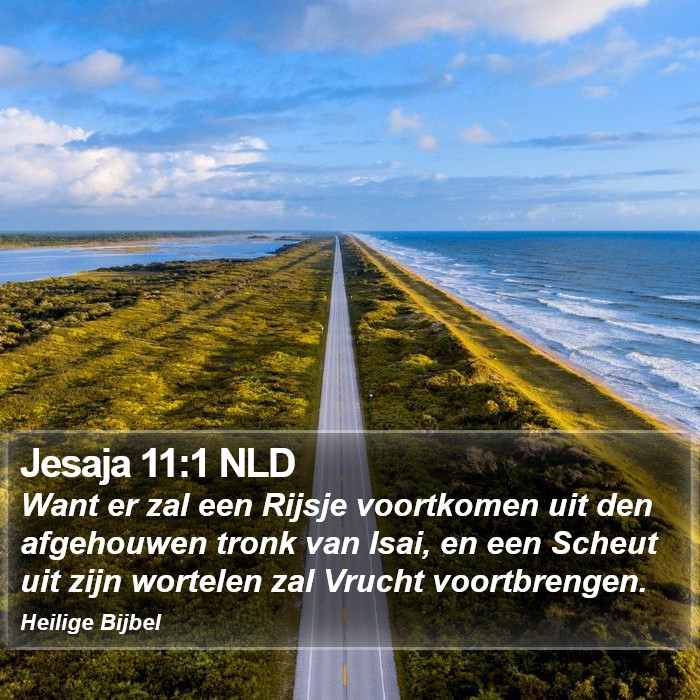 Jesaja 11:1 NLD Bible Study