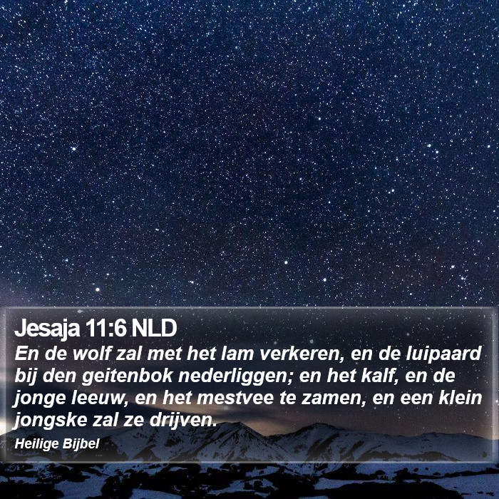 Jesaja 11:6 NLD Bible Study