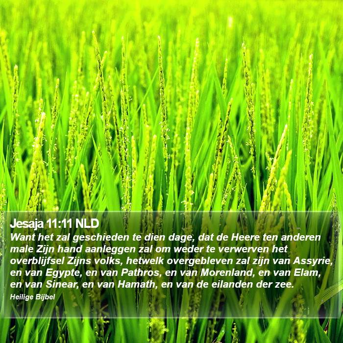 Jesaja 11:11 NLD Bible Study