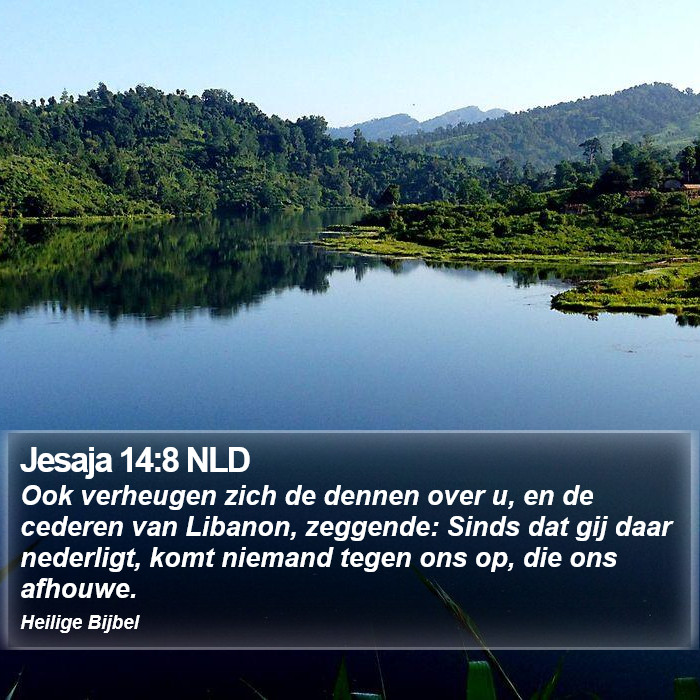 Jesaja 14:8 NLD Bible Study