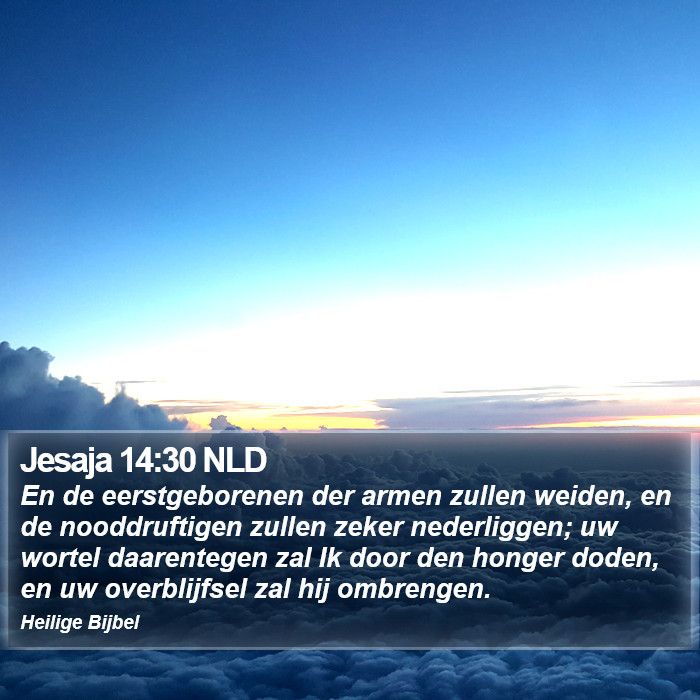 Jesaja 14:30 NLD Bible Study