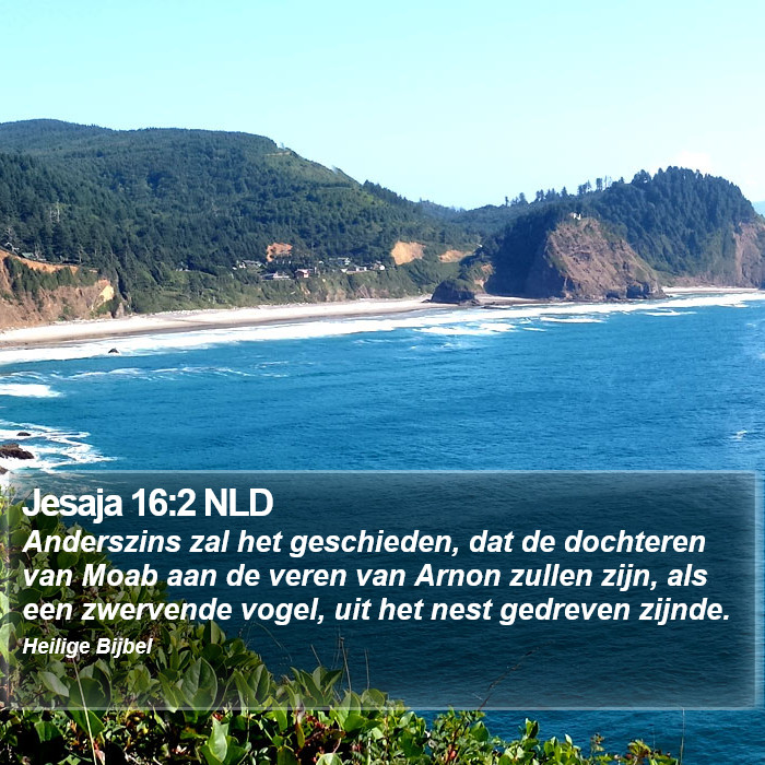 Jesaja 16:2 NLD Bible Study