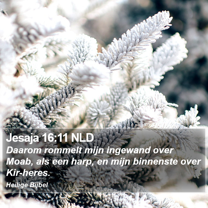 Jesaja 16:11 NLD Bible Study