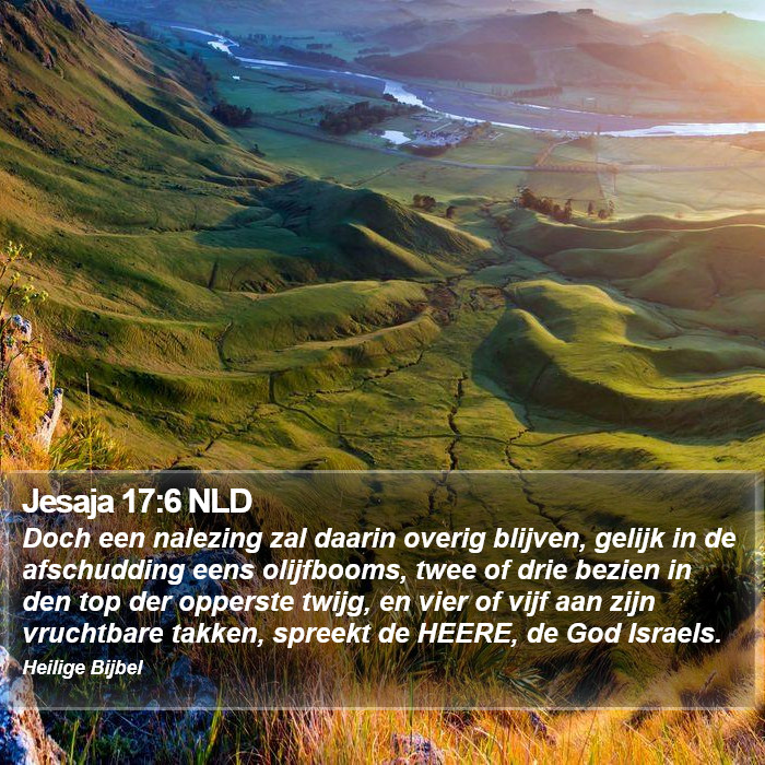 Jesaja 17:6 NLD Bible Study