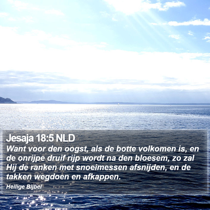 Jesaja 18:5 NLD Bible Study