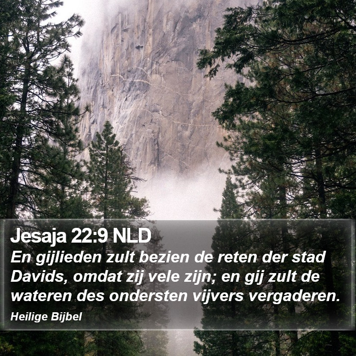 Jesaja 22:9 NLD Bible Study