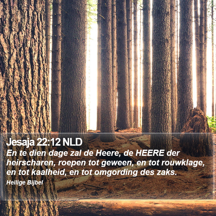 Jesaja 22:12 NLD Bible Study