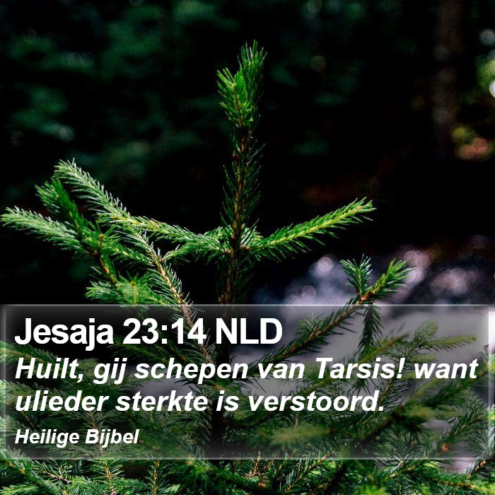 Jesaja 23:14 NLD Bible Study