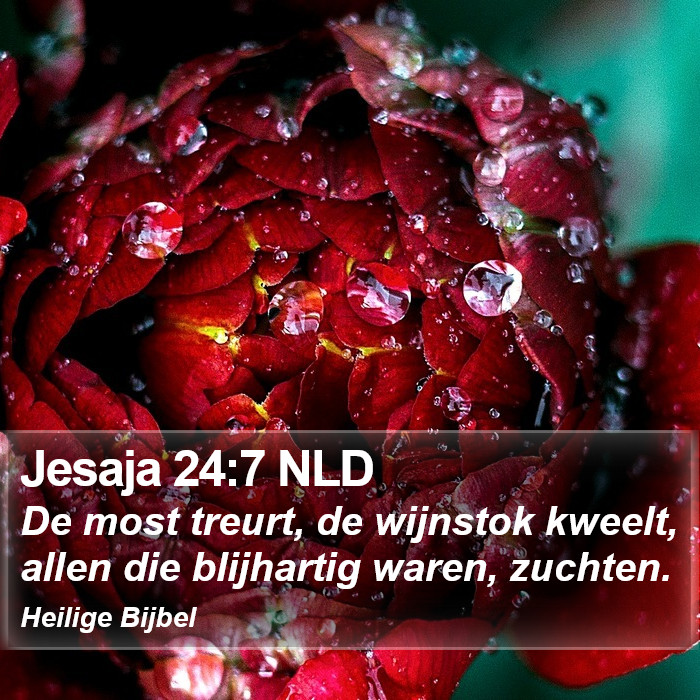 Jesaja 24:7 NLD Bible Study