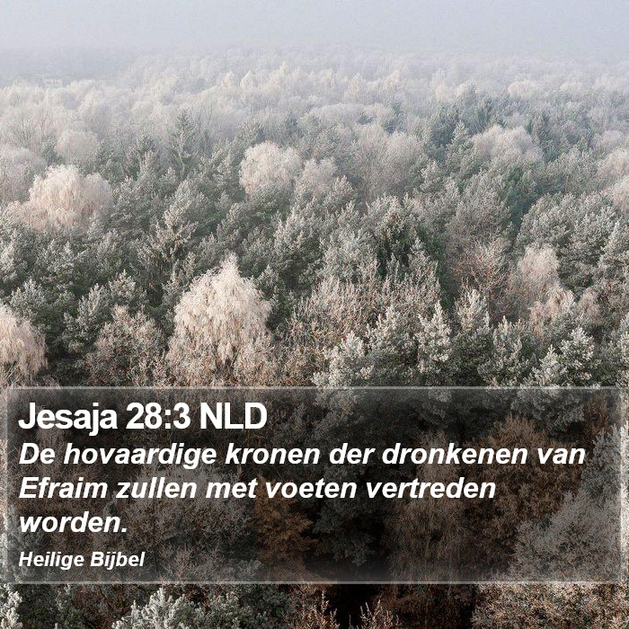 Jesaja 28:3 NLD Bible Study