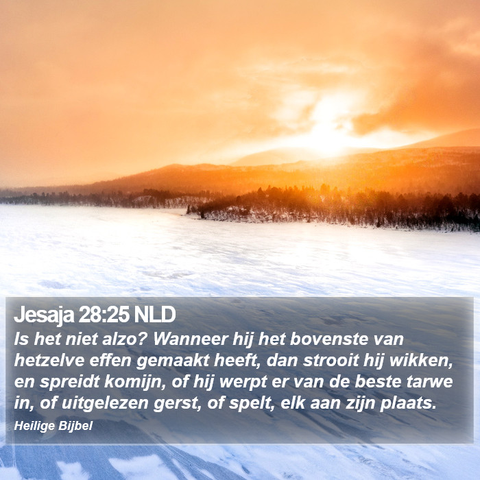 Jesaja 28:25 NLD Bible Study
