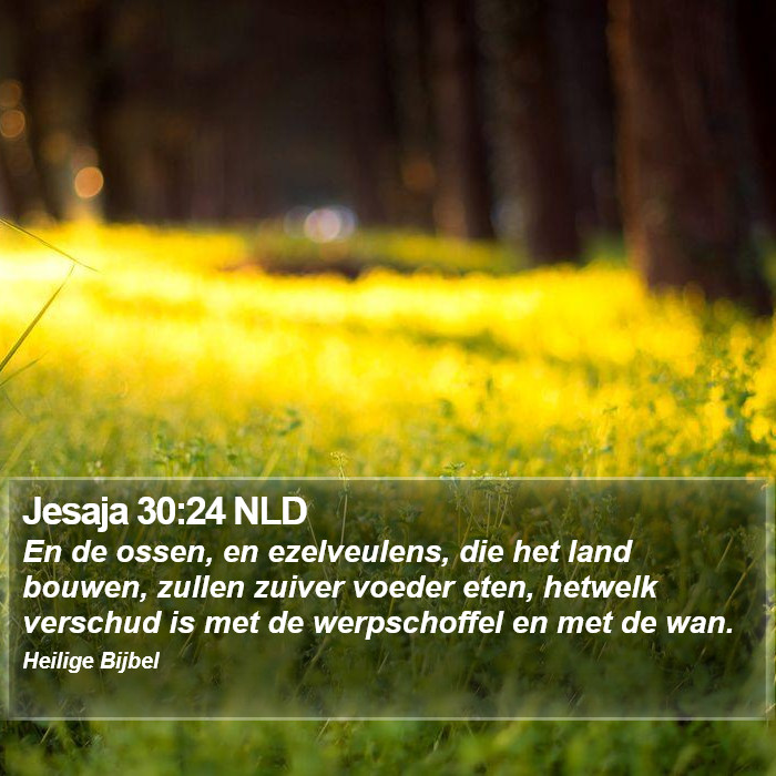 Jesaja 30:24 NLD Bible Study