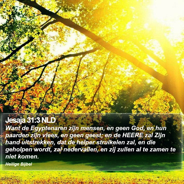 Jesaja 31:3 NLD Bible Study