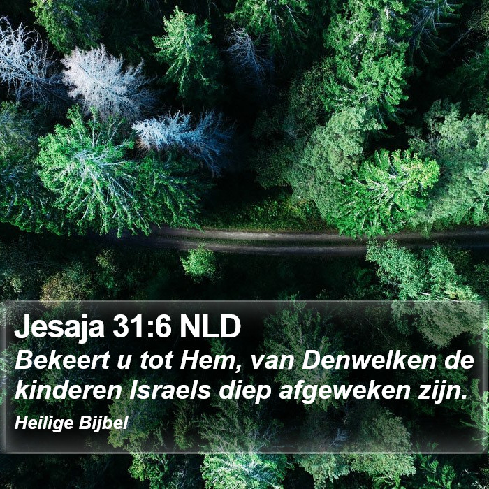 Jesaja 31:6 NLD Bible Study