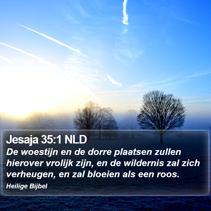 Jesaja 35:1 NLD Bible Study