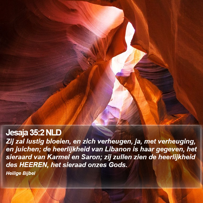Jesaja 35:2 NLD Bible Study