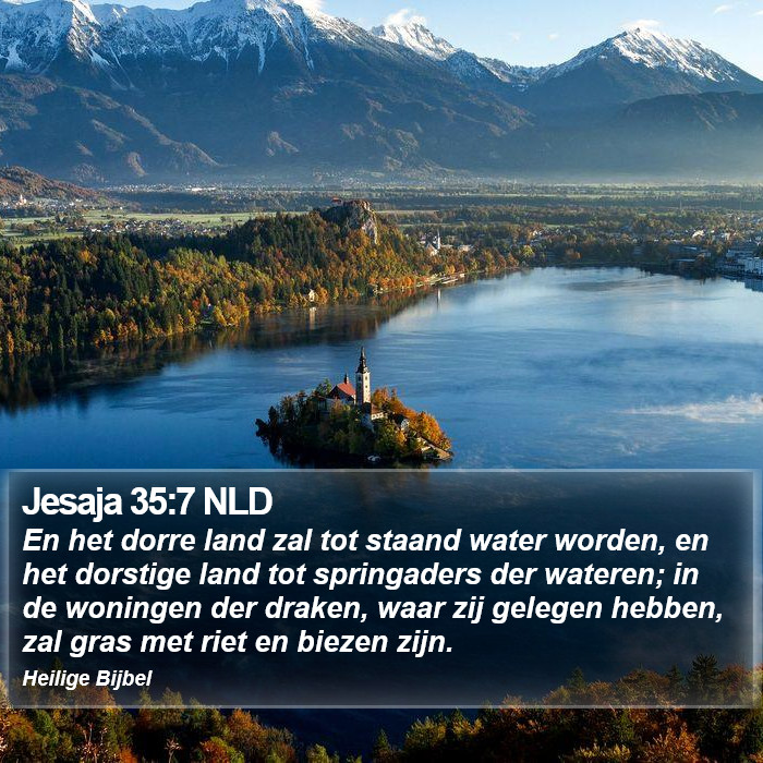 Jesaja 35:7 NLD Bible Study