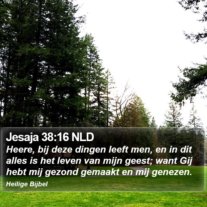 Jesaja 38:16 NLD Bible Study