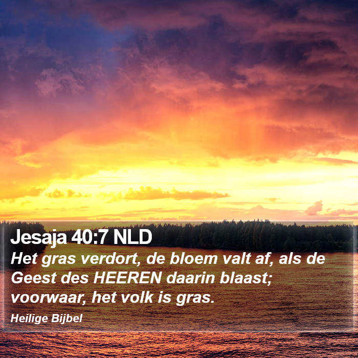 Jesaja 40:7 NLD Bible Study