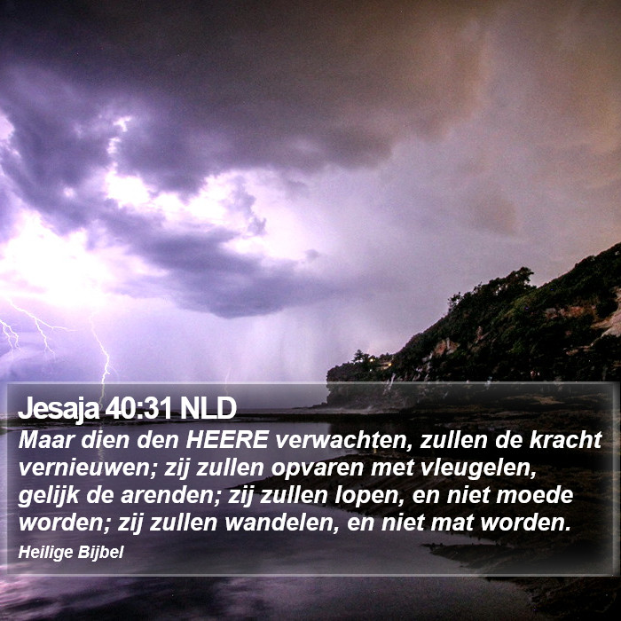 Jesaja 40:31 NLD Bible Study