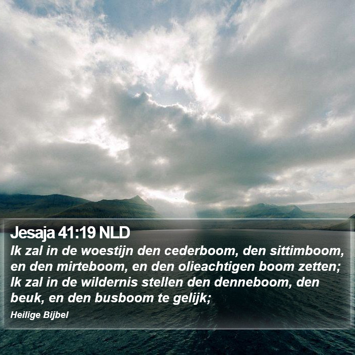 Jesaja 41:19 NLD Bible Study