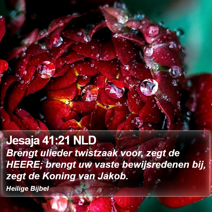 Jesaja 41:21 NLD Bible Study