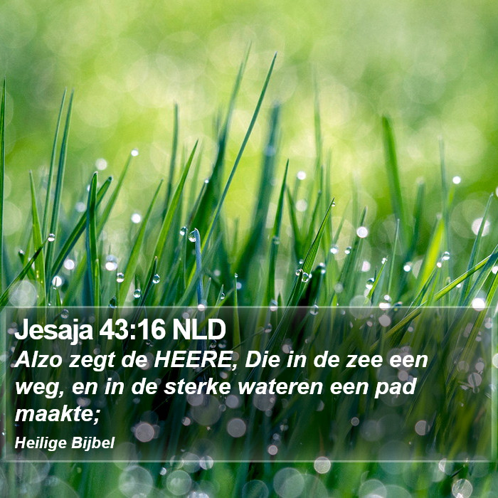 Jesaja 43:16 NLD Bible Study