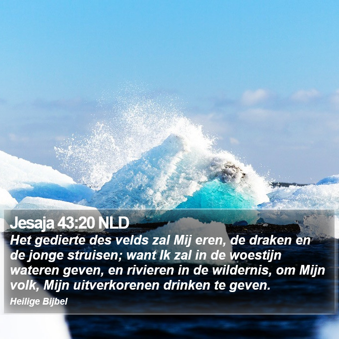 Jesaja 43:20 NLD Bible Study