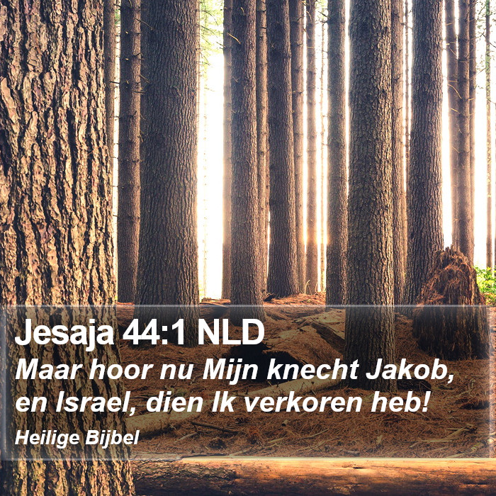 Jesaja 44:1 NLD Bible Study