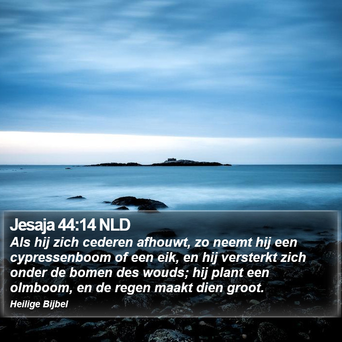 Jesaja 44:14 NLD Bible Study