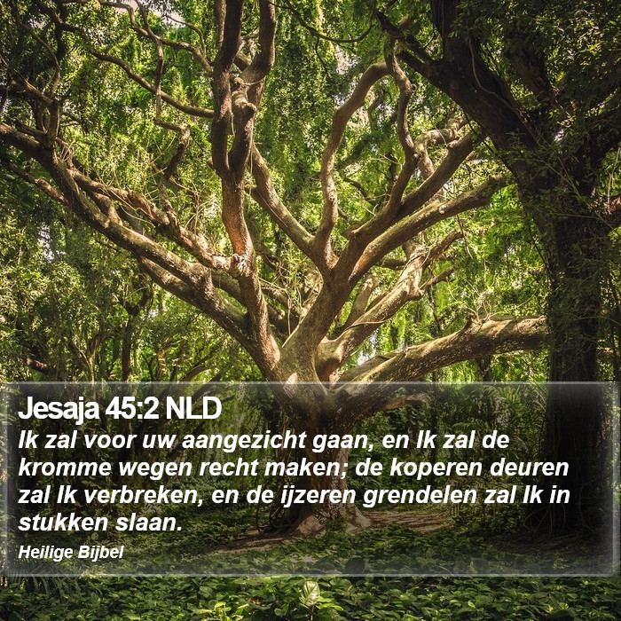 Jesaja 45:2 NLD Bible Study