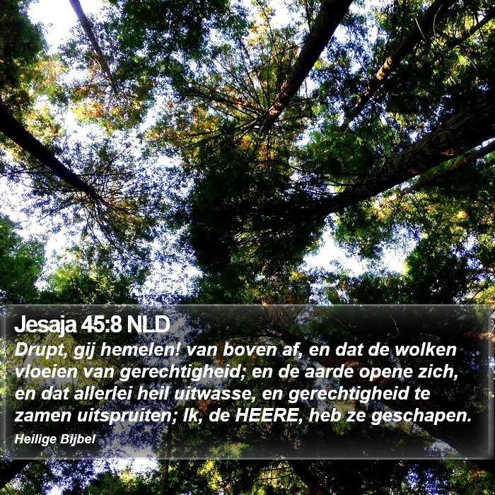 Jesaja 45:8 NLD Bible Study