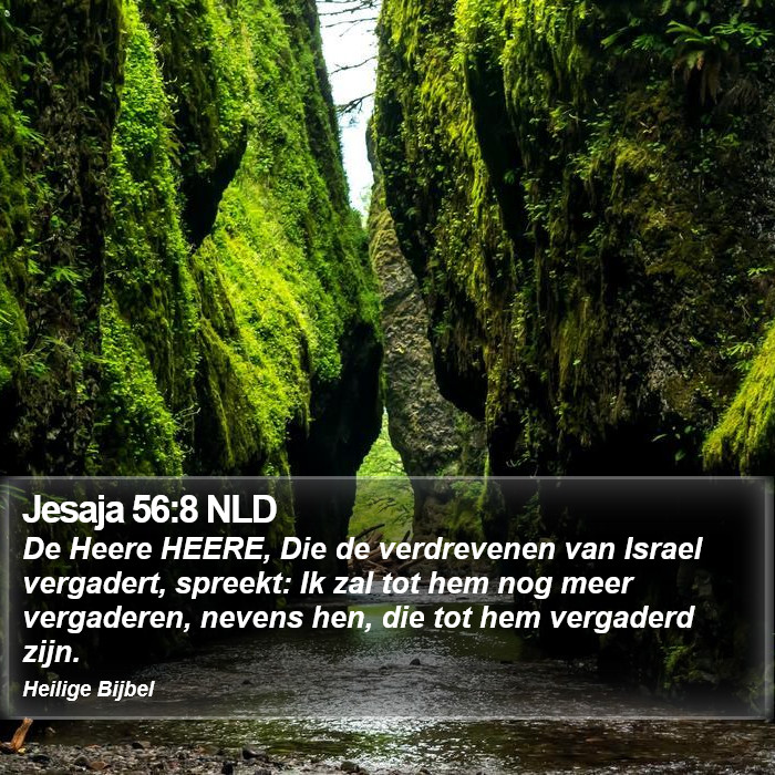 Jesaja 56:8 NLD Bible Study