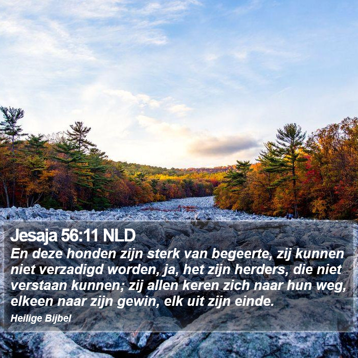 Jesaja 56:11 NLD Bible Study