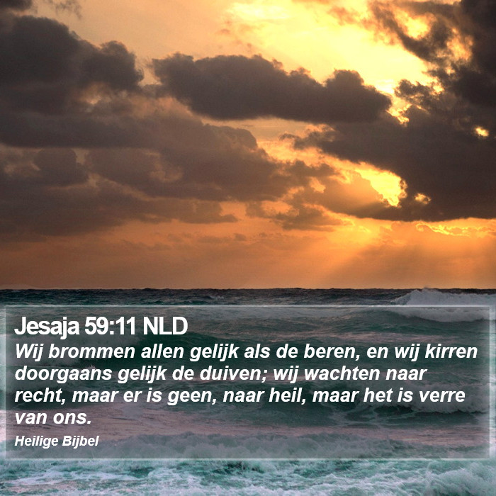 Jesaja 59:11 NLD Bible Study