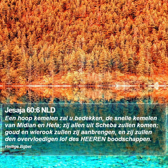 Jesaja 60:6 NLD Bible Study