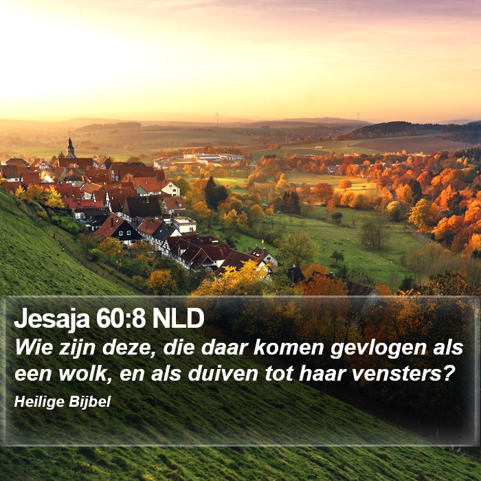 Jesaja 60:8 NLD Bible Study