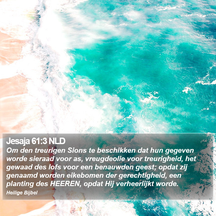 Jesaja 61:3 NLD Bible Study