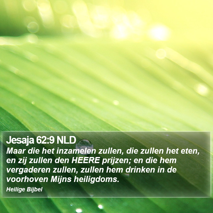 Jesaja 62:9 NLD Bible Study