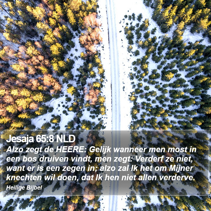 Jesaja 65:8 NLD Bible Study