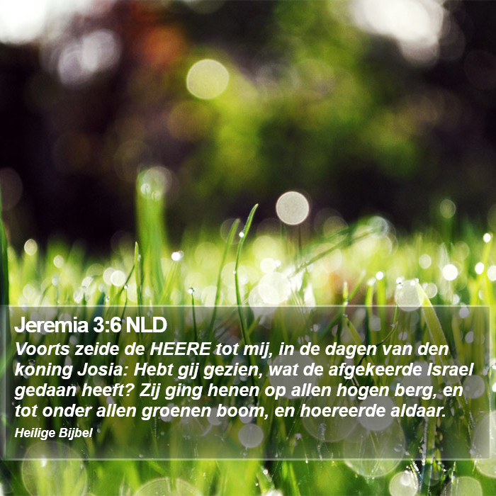 Jeremia 3:6 NLD Bible Study