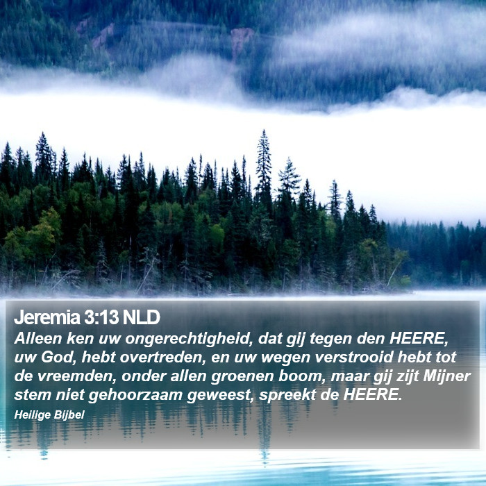 Jeremia 3:13 NLD Bible Study