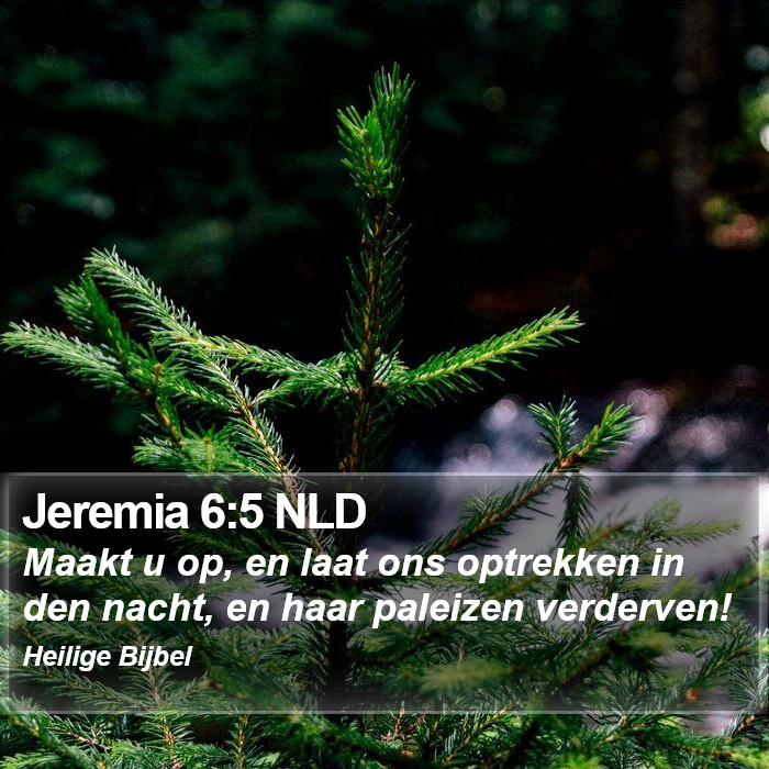 Jeremia 6:5 NLD Bible Study
