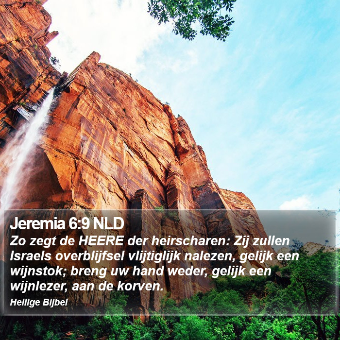 Jeremia 6:9 NLD Bible Study