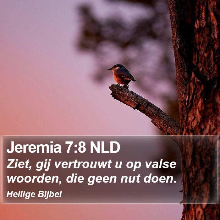 Jeremia 7:8 NLD Bible Study