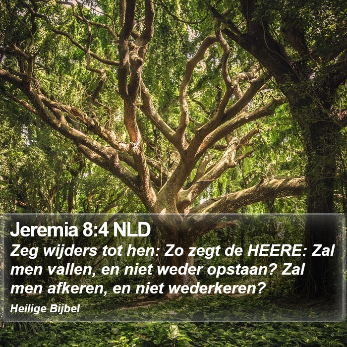 Jeremia 8:4 NLD Bible Study
