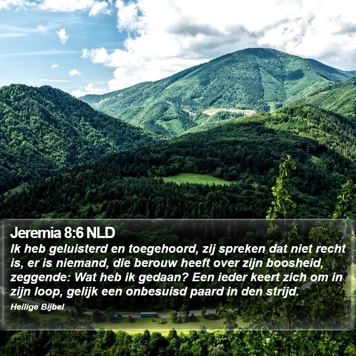 Jeremia 8:6 NLD Bible Study