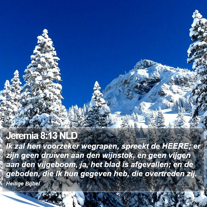 Jeremia 8:13 NLD Bible Study